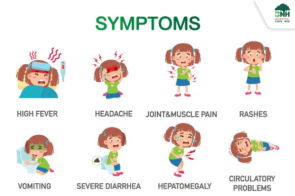Symtoms of Dengue fever | BNH Hospital