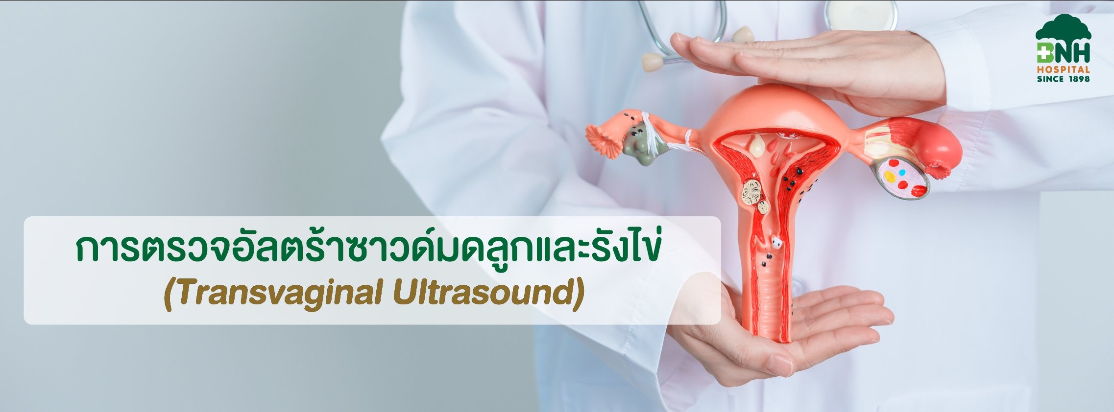 ตรวจอัลตร้าซาวด์มดลูกและรังไข่