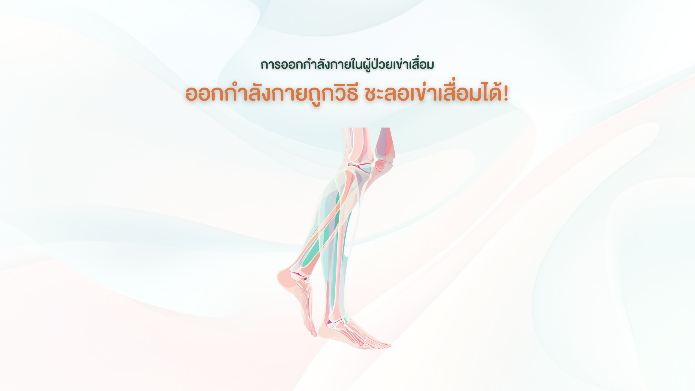 ผู้ป่วยเข่าเสื่อม
